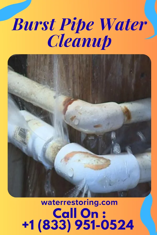 Burst Pipe Water Cleanup in Norwood, PA