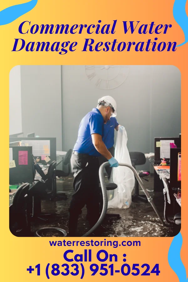 Commercial Water Damage Restoration in Norwood, PA