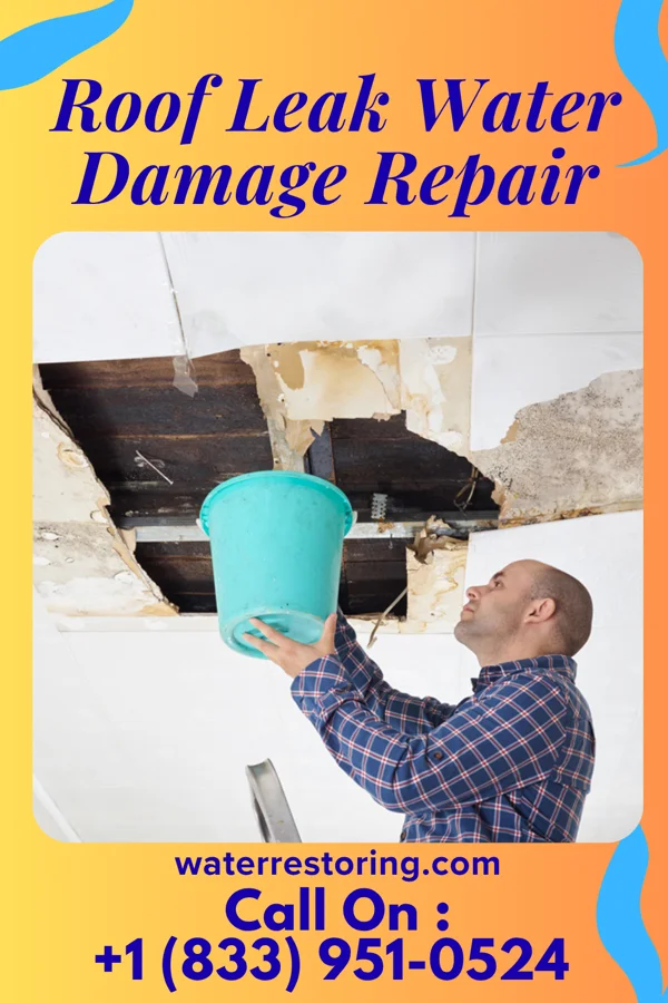 Roof Leak Water Damage Repair in Norwood, PA