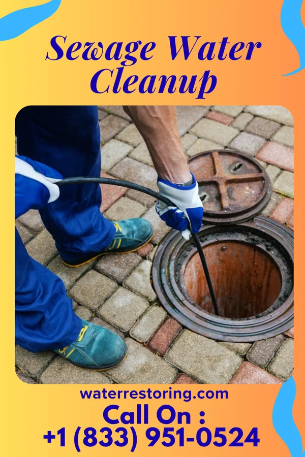 Sewage Water Cleanup in Norwood, PA