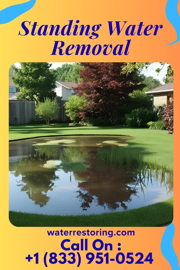 Standing Water Removal in Norwood, PA